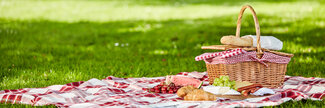 Die ultimativen Picknick-Essentials